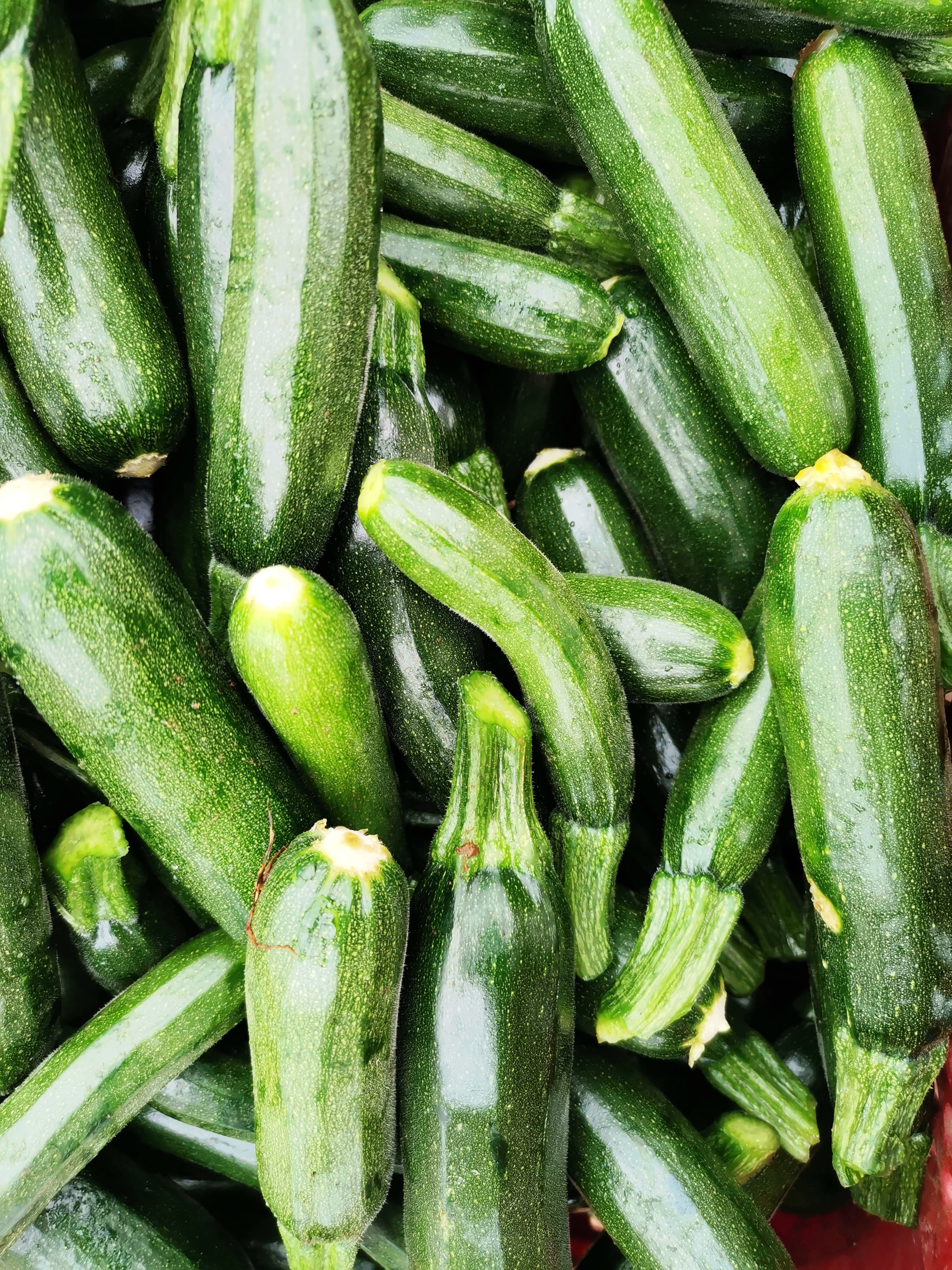 Zucchini